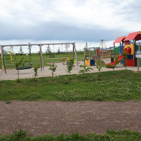 Gite Terre D'Helene 4 A 5 Pers Proche Strasbourg 42 M2, 3 Etoiles, Wifi, Paisible, Jardin, Proche Commerces,16 Atouts, Animaux Acceptes Berstett Exterior photo